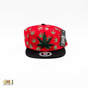 Top Level Canibas Hat