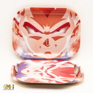 Small Tray W/ Magnetic Lid JST009
