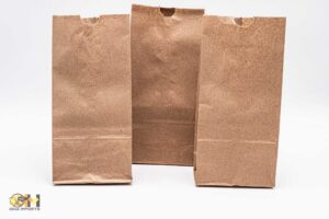 Brown Bags 500ct #2